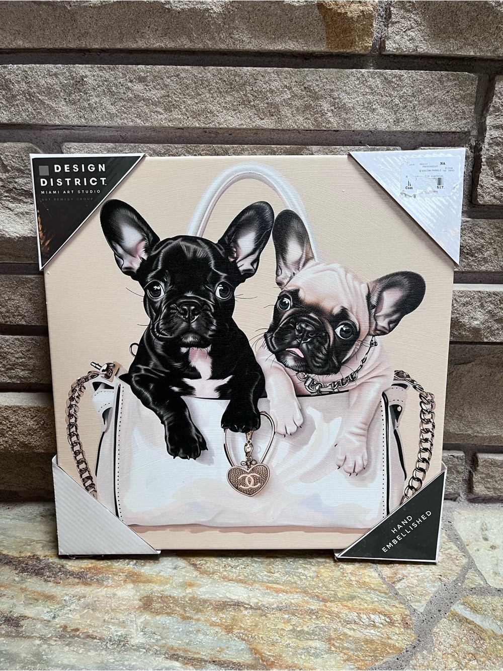 Design District French Bulldog Animal Canvas Art Picture 14x14 NWT